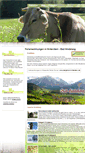 Mobile Screenshot of ferienwohnung-hinterstein.de